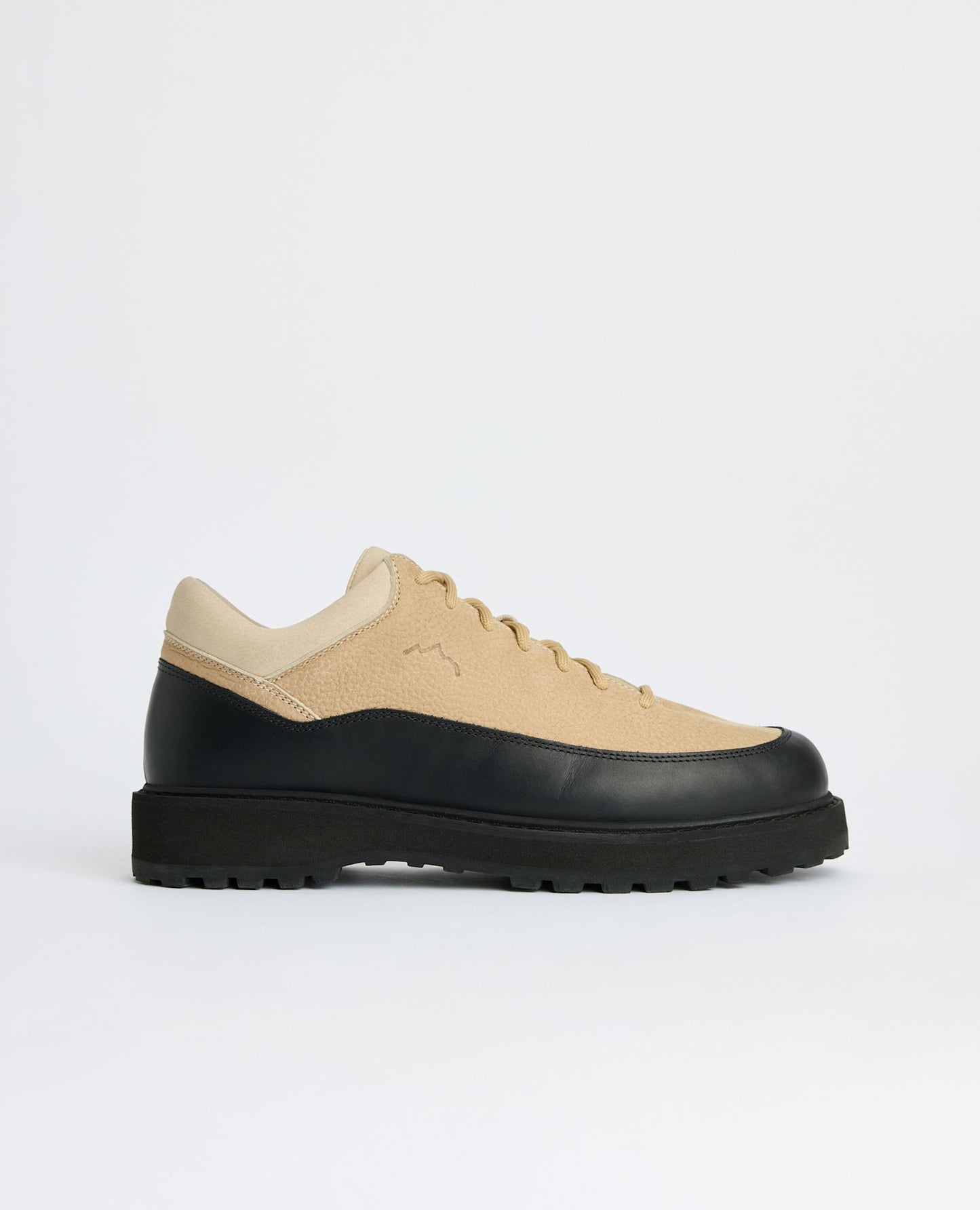 CORNARO DIEMME x SUNFLOWER