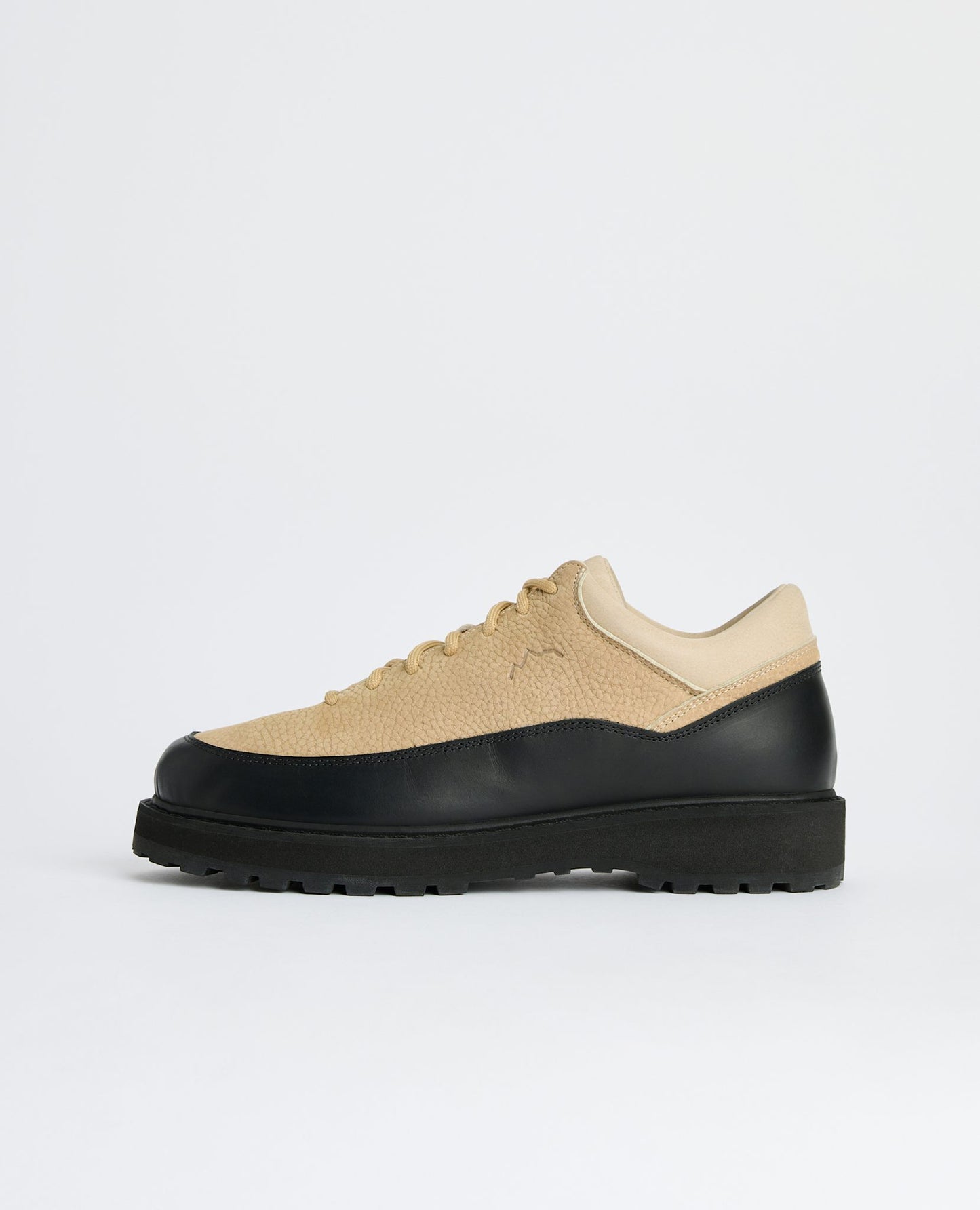 CORNARO DIEMME x SUNFLOWER