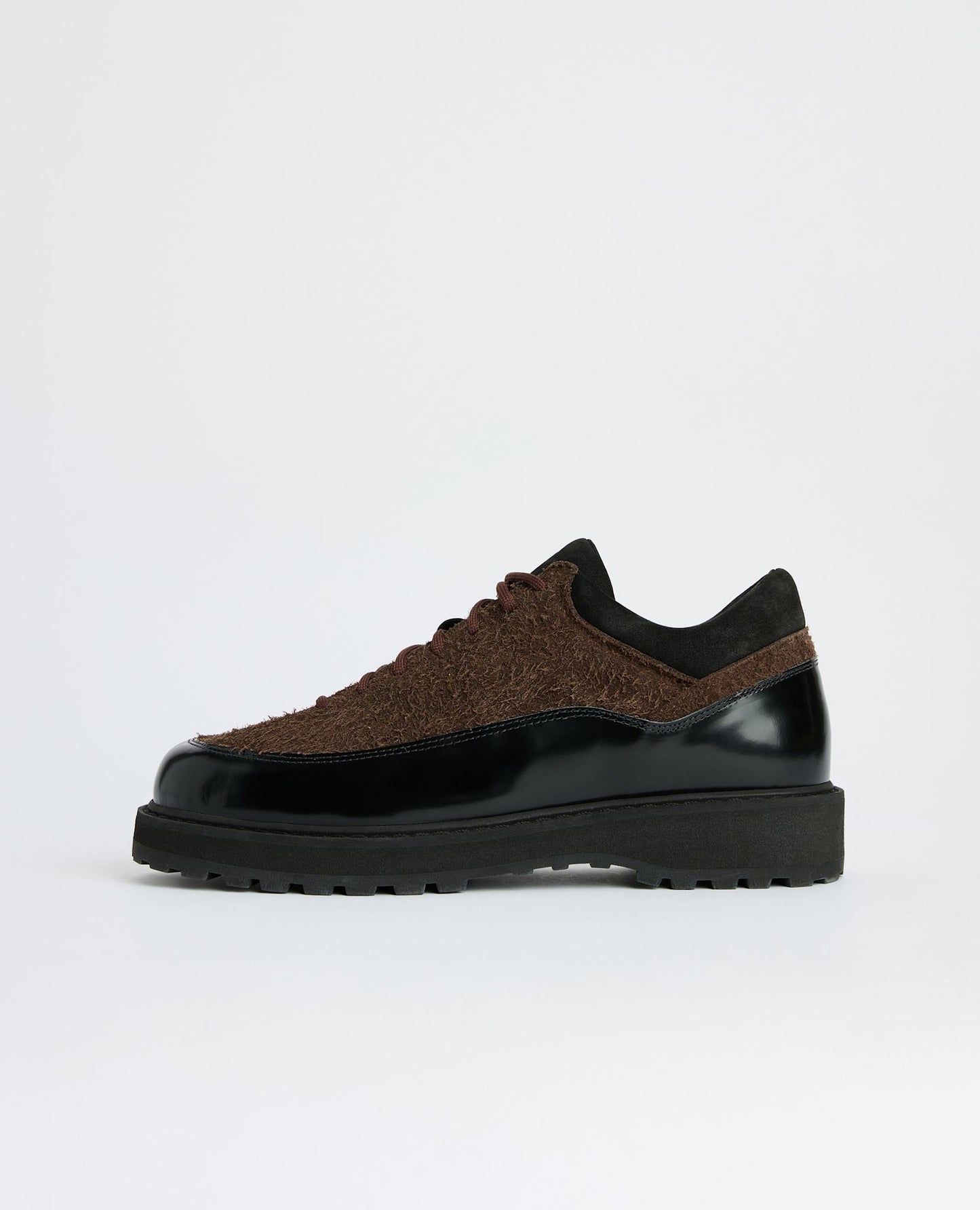 CORNARO DIEMME x SUNFLOWER
