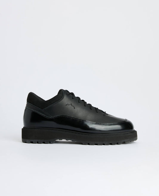 CORNARO DIEMME x SUNFLOWER